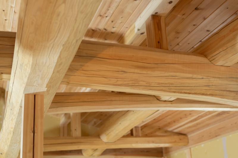 Les secrets d'une construction bois écologique pour votre habitat familial